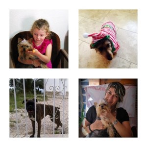 vida de perros_pura maria